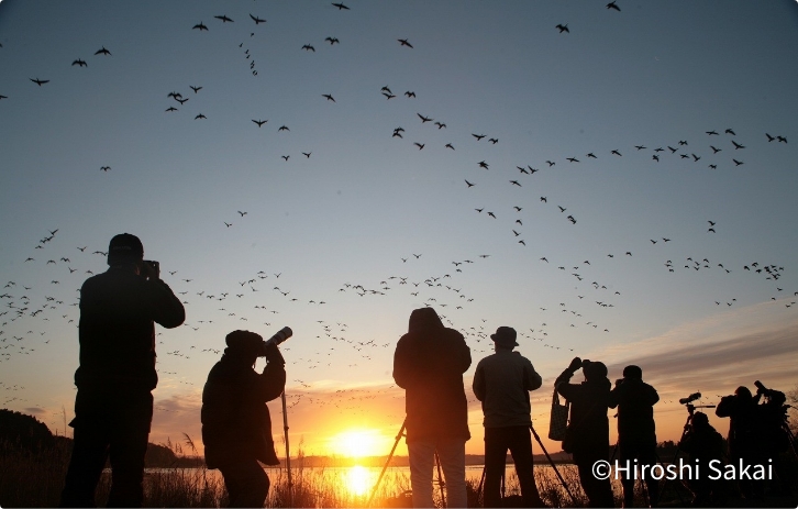 A mecca for bird watchers from all over the world