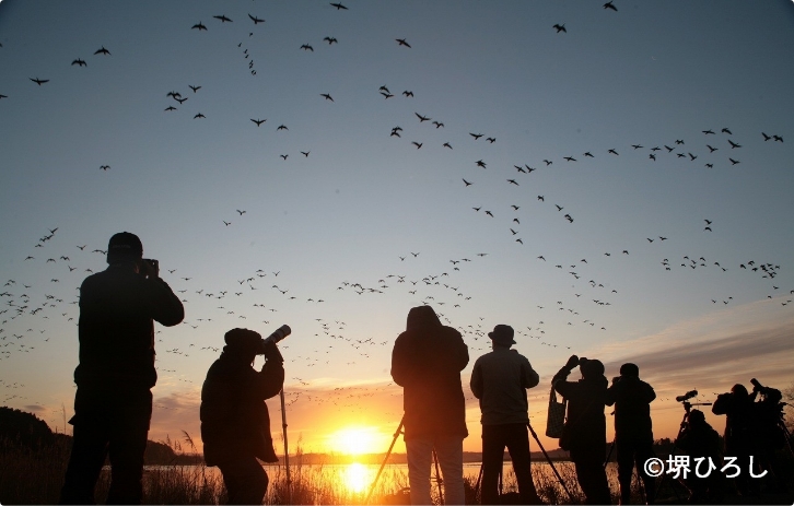 世界中からバードウオッチング愛好者がやって来る野鳥観察の聖地